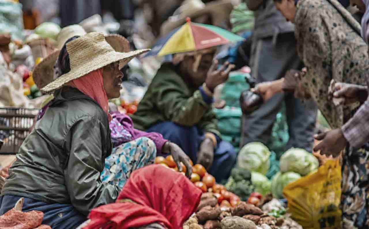 Northern Ethiopia's food crisis