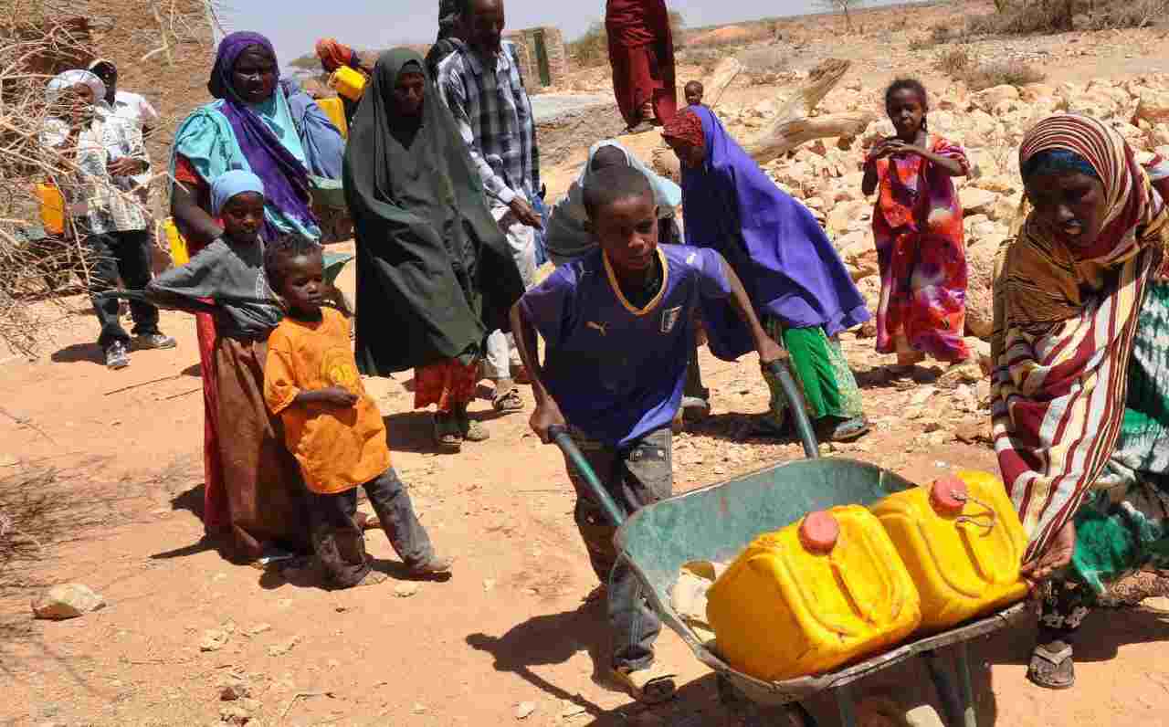 Mali's food crisis