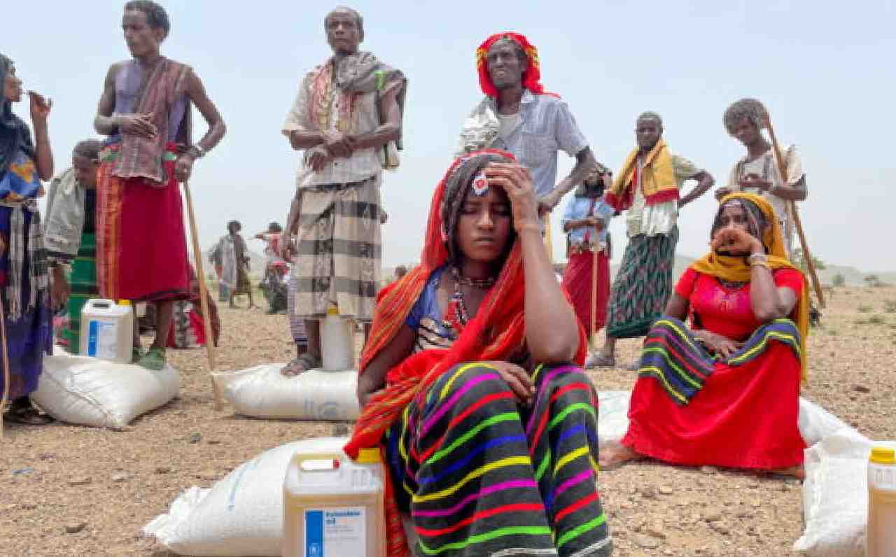 Tigray famine, statistics and assessments