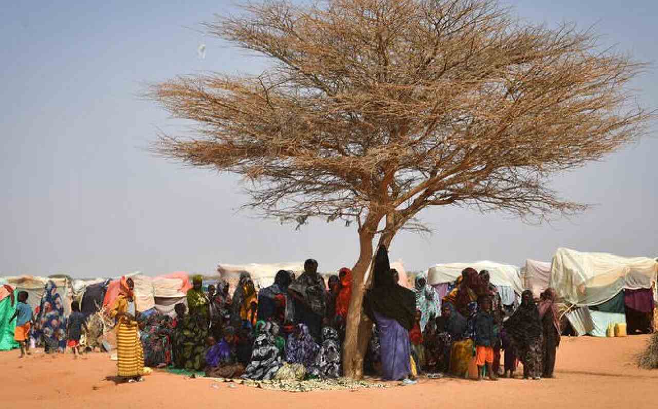 Somalia: One million people displaced due to famine